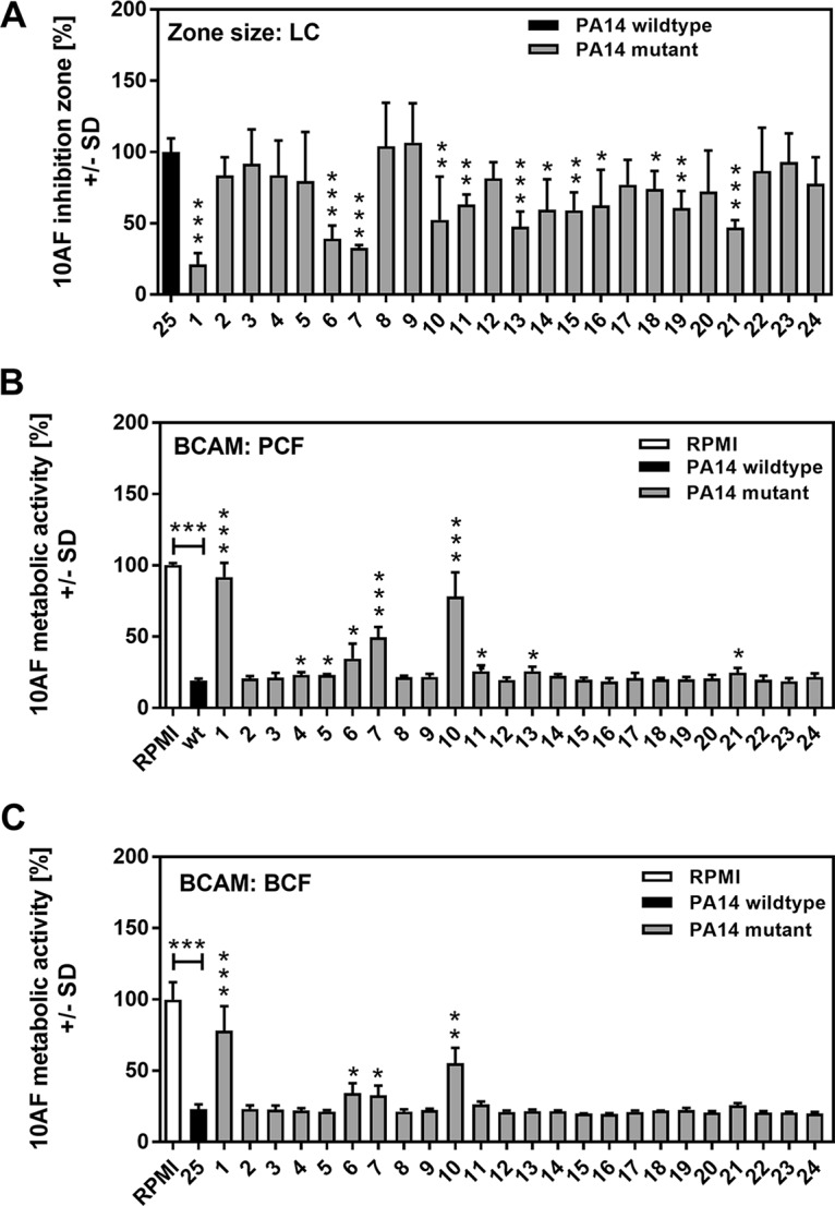 FIG 1