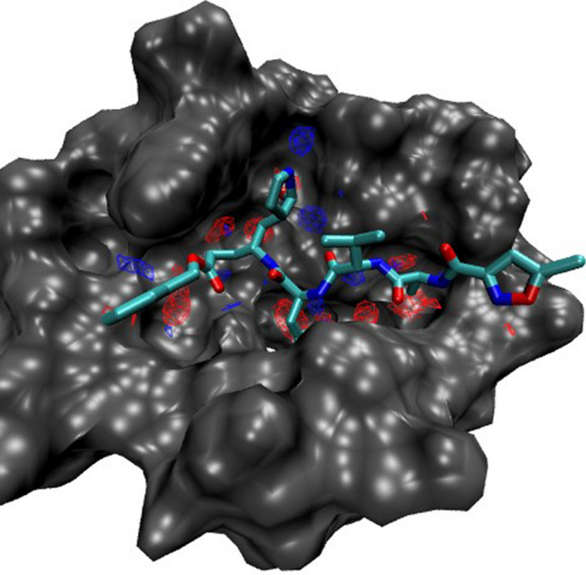 Fig. 4