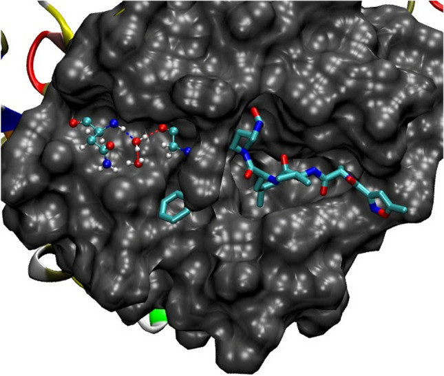 Fig. 3