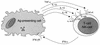 FIG. 4.