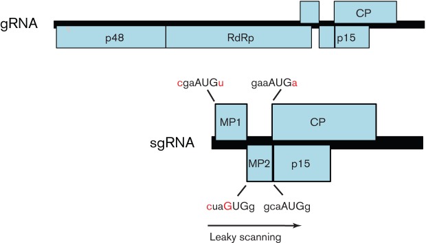 Fig. 3. 