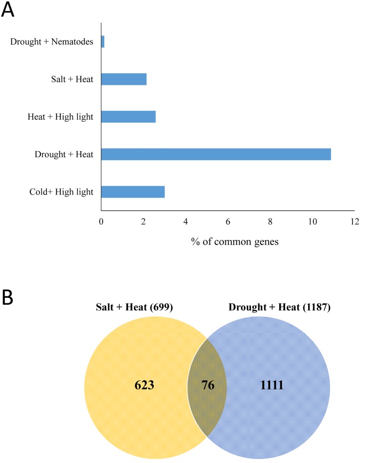 Fig 7