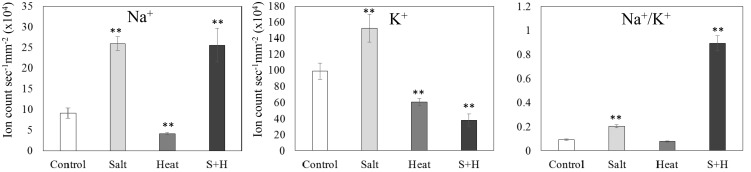 Fig 2