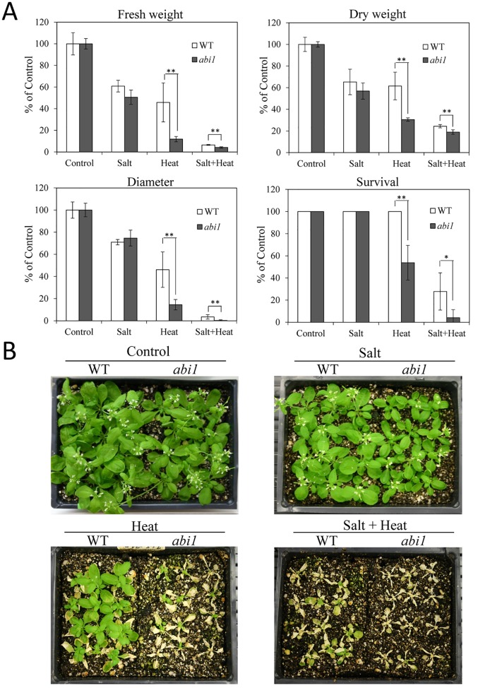 Fig 6