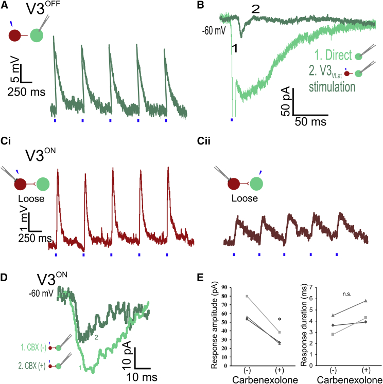 Figure 3