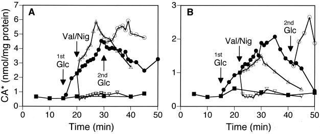 FIG. 1