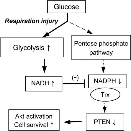 Figure 9.