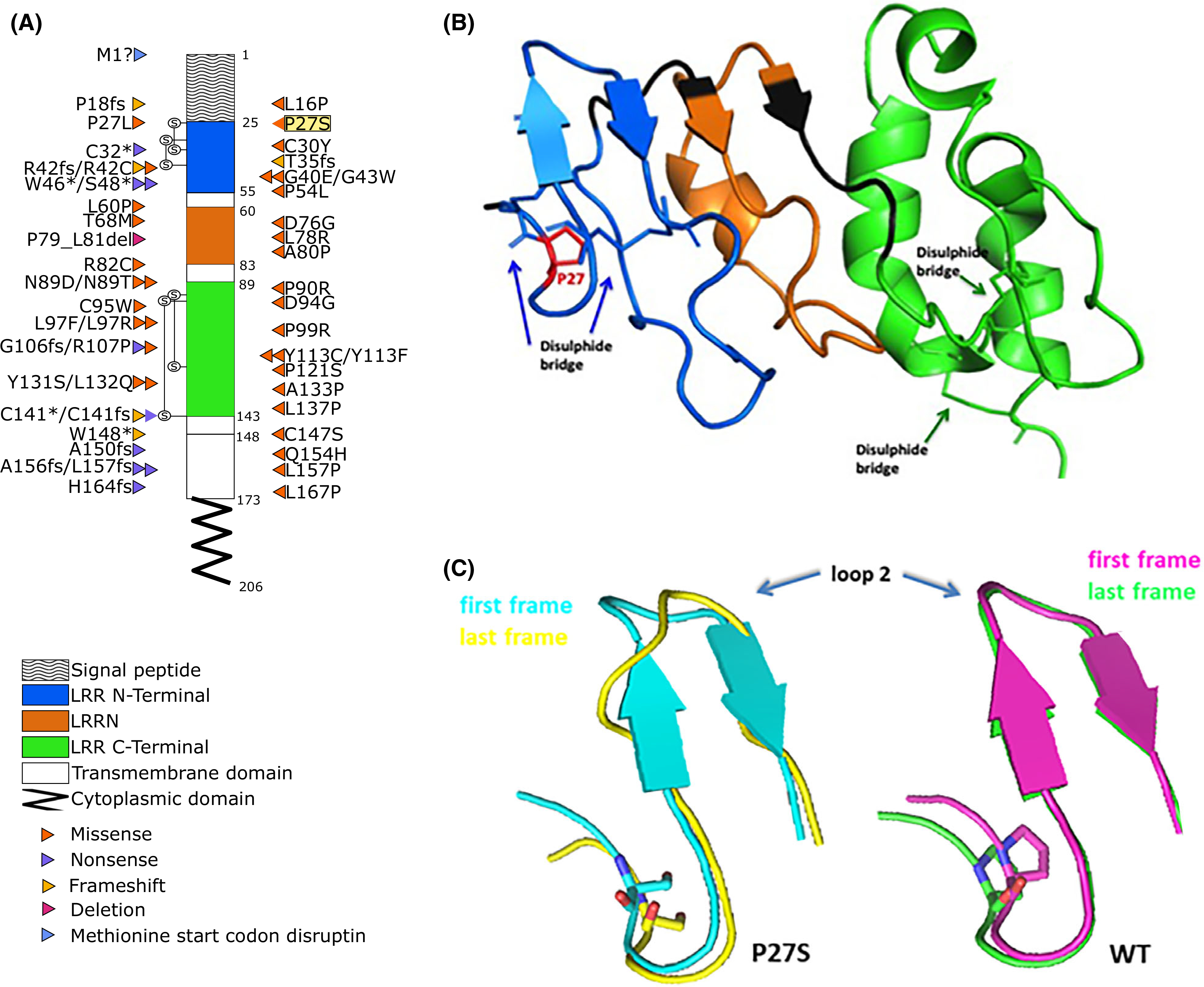 Fig 2.