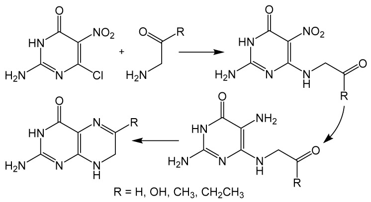 Scheme 5