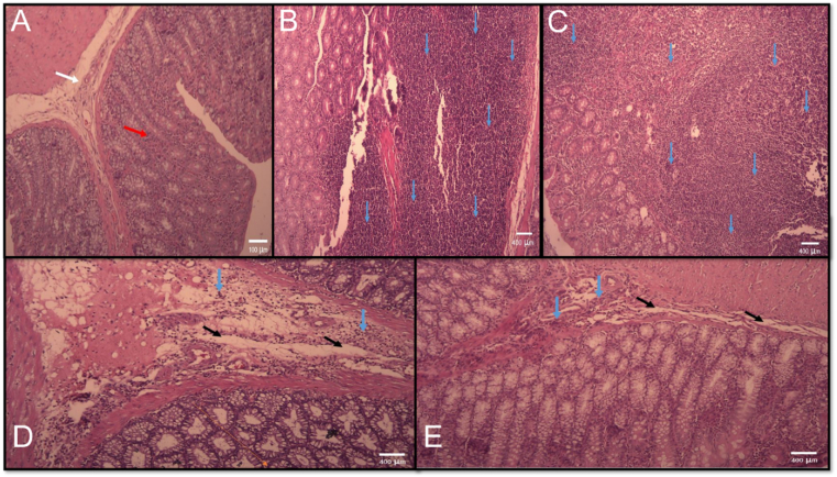 Fig. 4