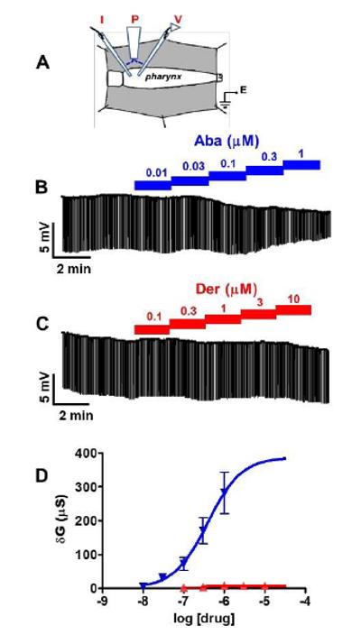 Fig 6