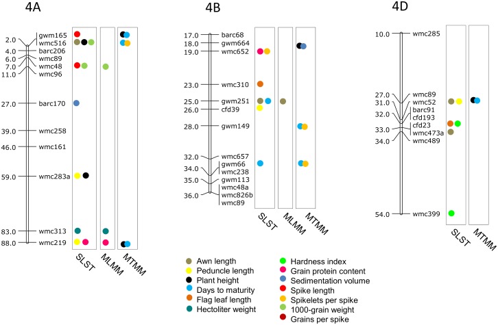 Fig 6