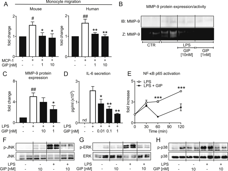 Figure 2