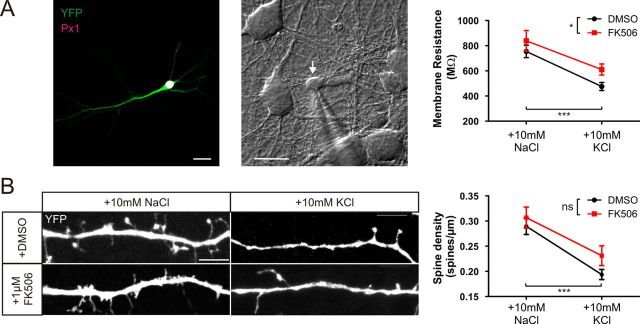 Figure 10.