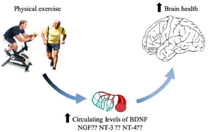 Image, graphical abstract