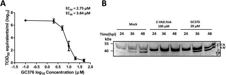 Fig. 6