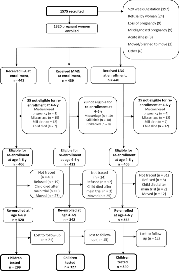 FIGURE 1