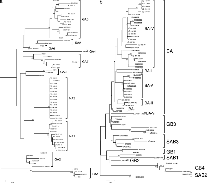 FIG. 2.