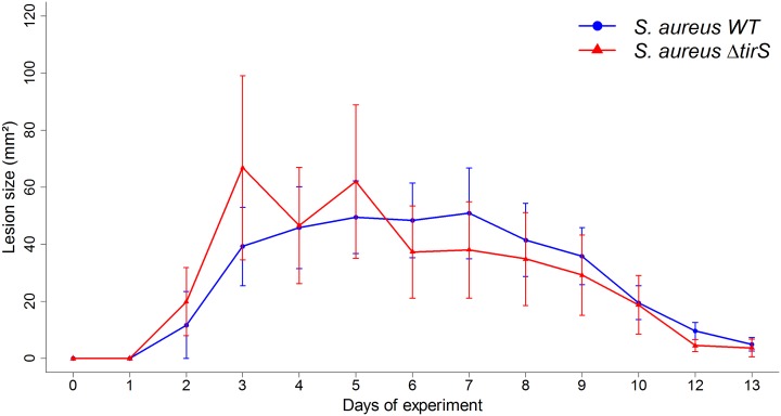 Fig 6