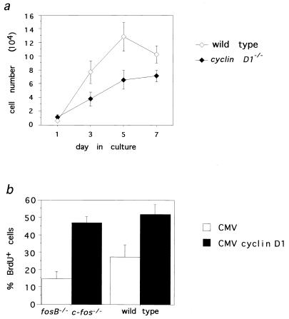 FIG. 5