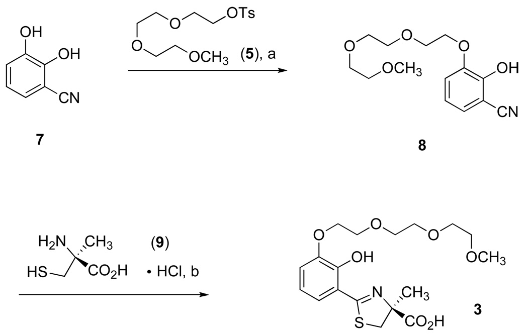 Scheme 2