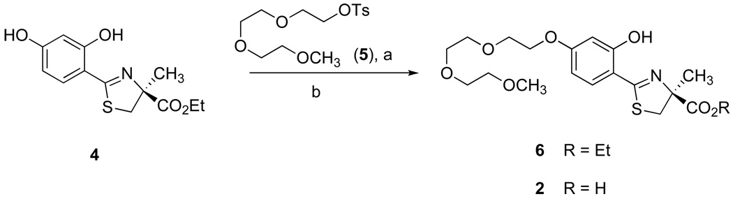 Scheme 1