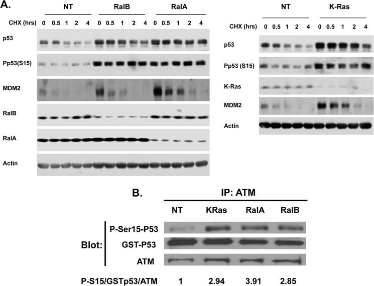 FIGURE 4.