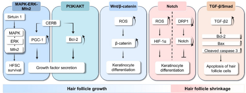 Fig. 2