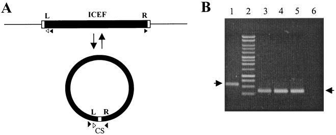 FIG. 5.