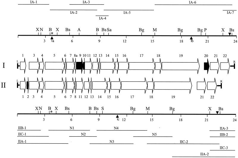 FIG. 2.