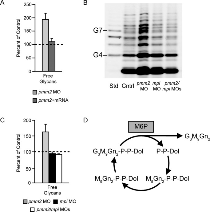 FIGURE 7: