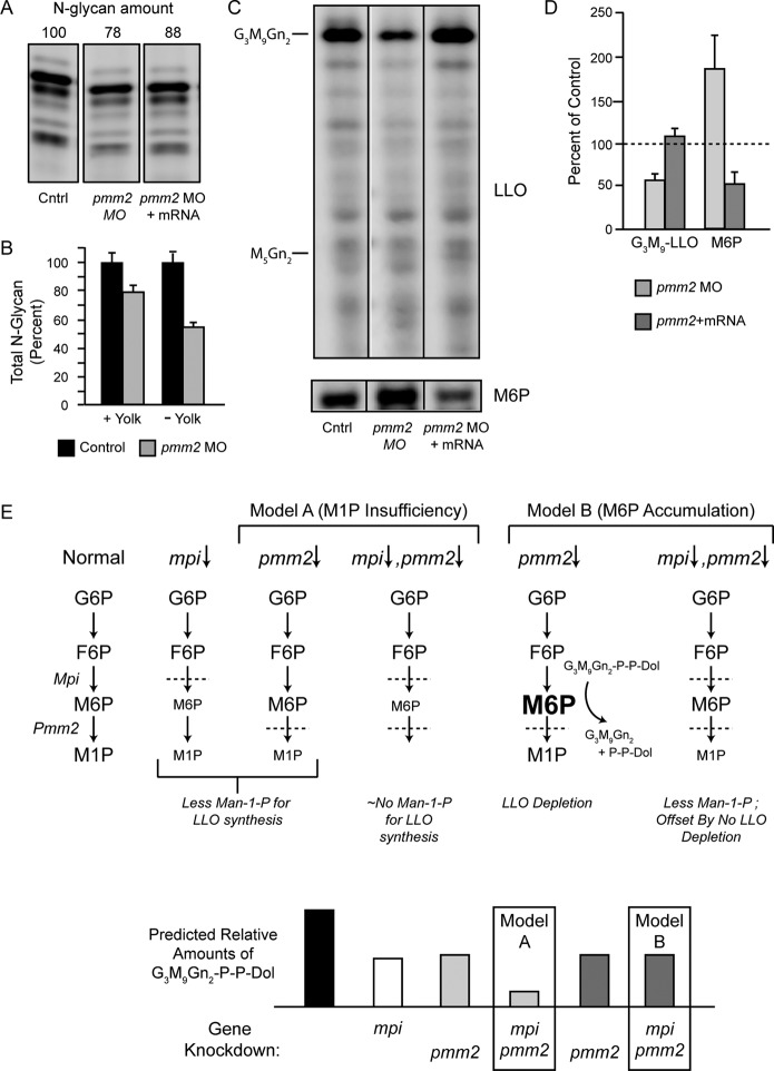 FIGURE 5: