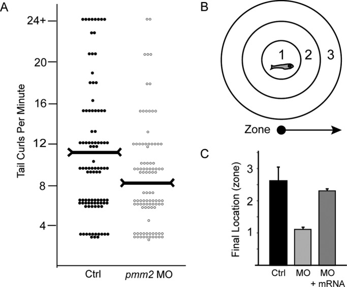 FIGURE 3: