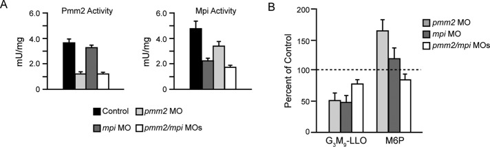 FIGURE 6: