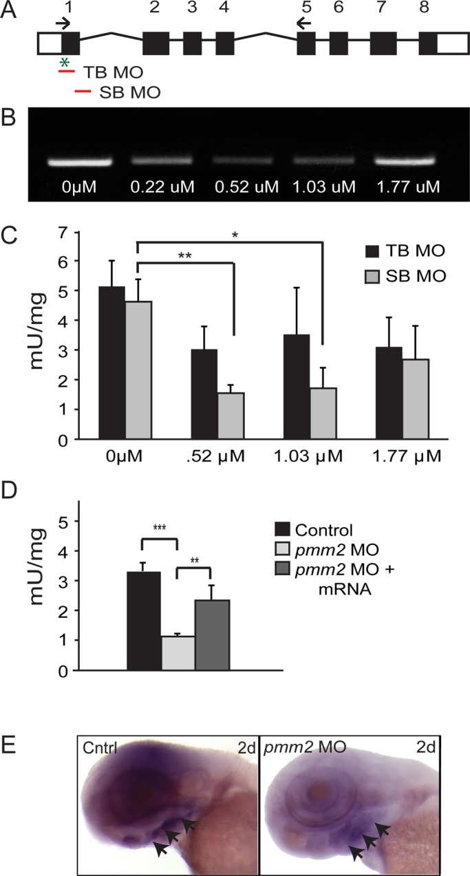 FIGURE 1: