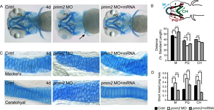 FIGURE 2: