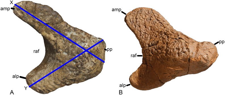 Fig 13