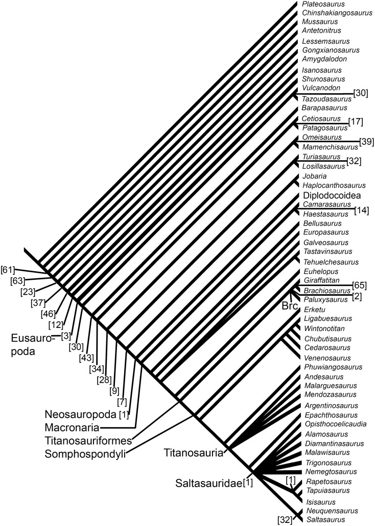 Fig 15