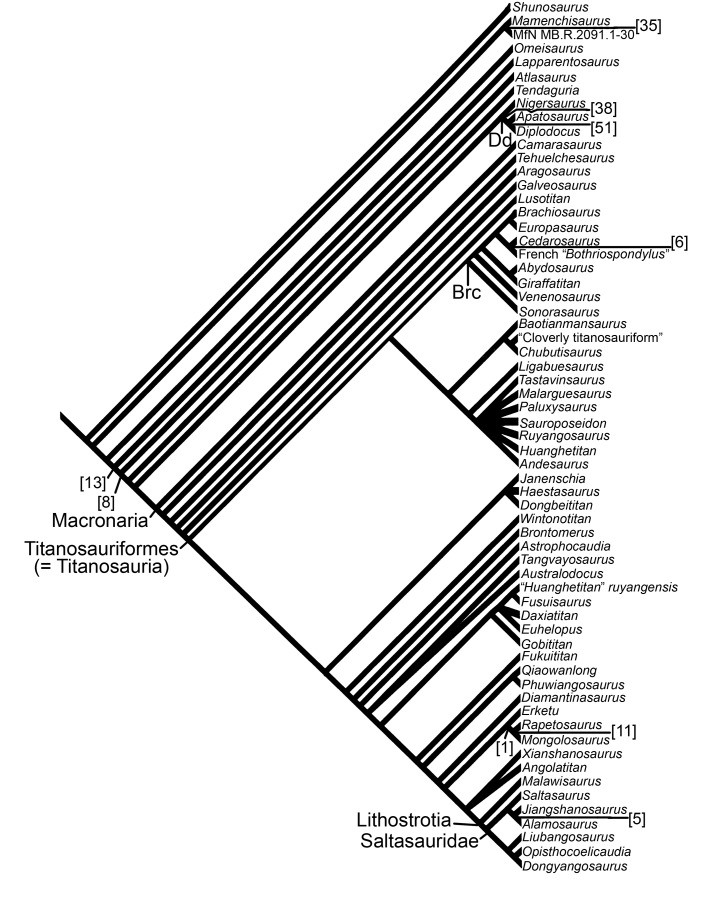 Fig 17