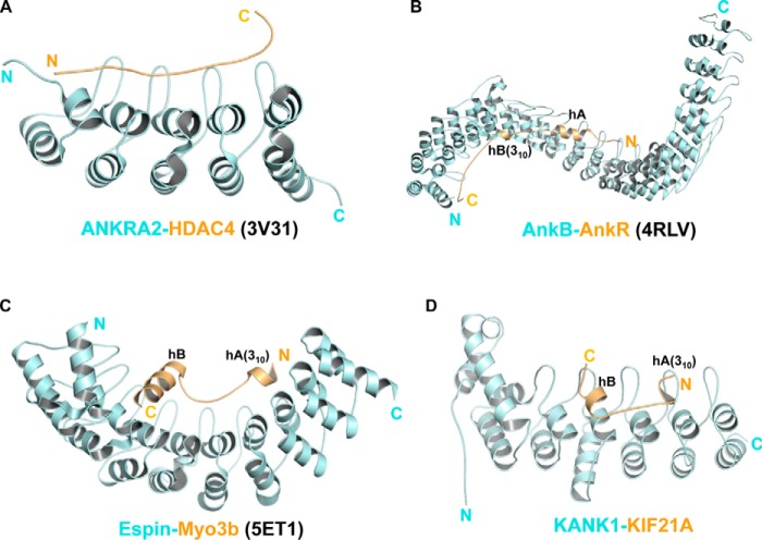 Figure 5.