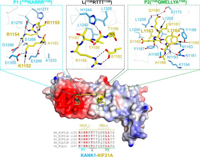 Figure 3.