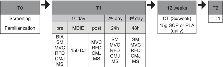 FIGURE 1