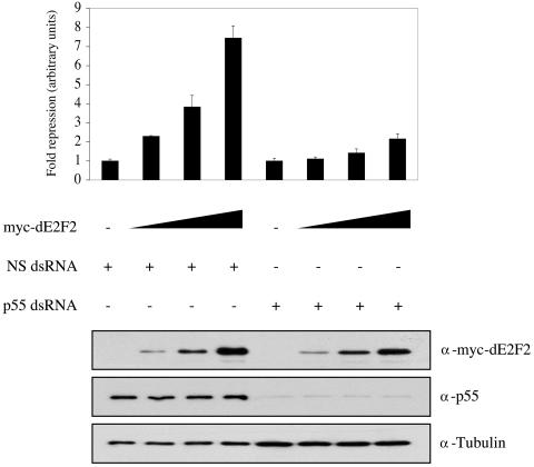 FIG. 8.