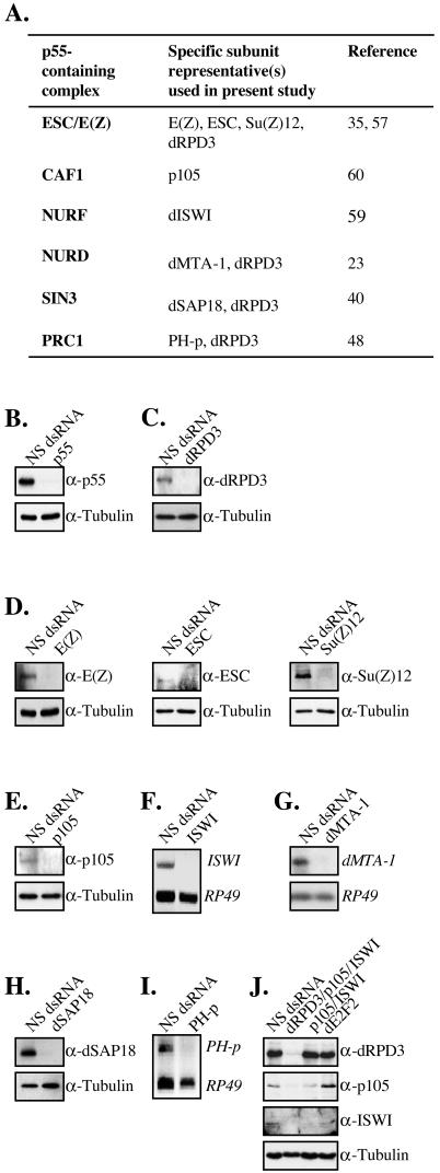 FIG.4.