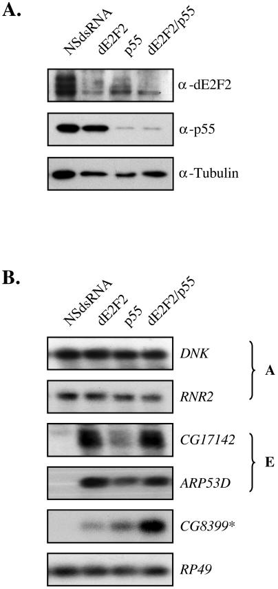 FIG. 7.