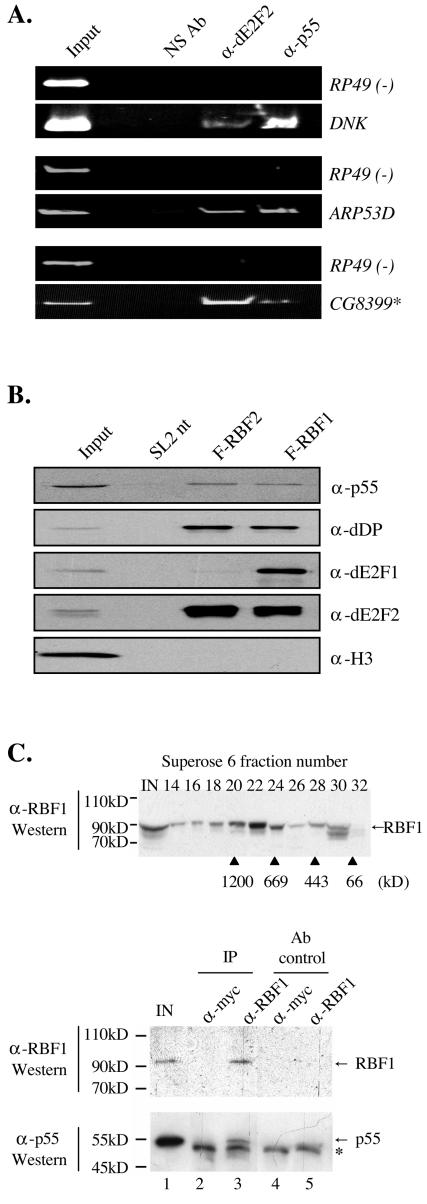 FIG. 6.