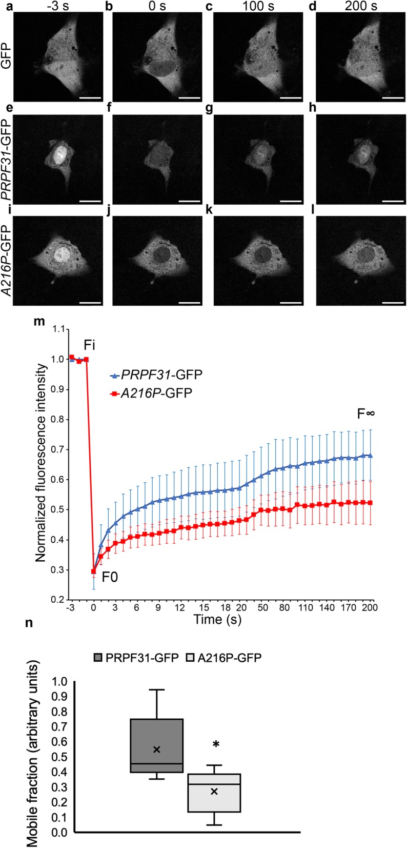 Fig. 8