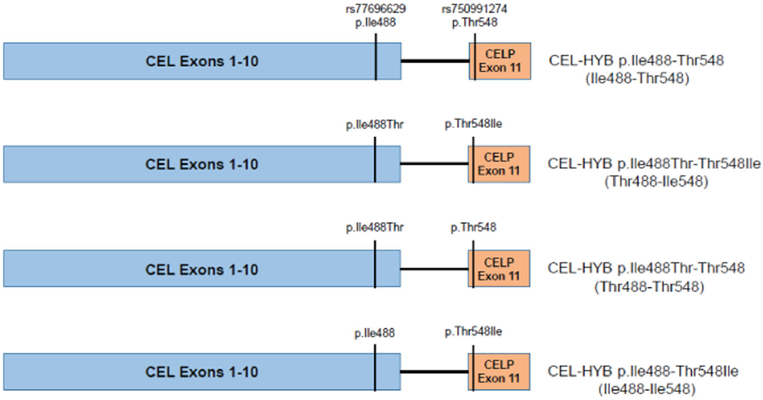 FIGURE 1