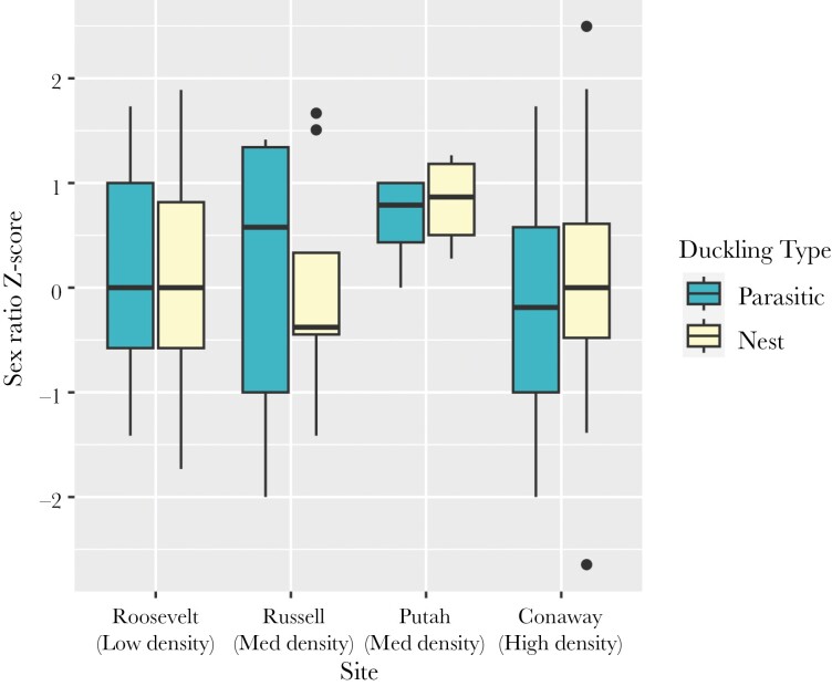 A figure showing box plots of parasitic and nest duckling sex ratios (Z-scores) for each of 4 sites. Sex ratios of parasitic and nest ducklings are similar for Roosevelt (Low density site), Putah (Medium density site) and Conaway (High density site). At Russell (Medium density site), average parasitic duckling sex ratio is slightly male-biased, compared to slight female-bias in nest ducklings. At Putah (Medium density site) sex ratios of both parasitic and nest ducklings were male-biased.