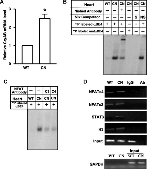 Fig 5